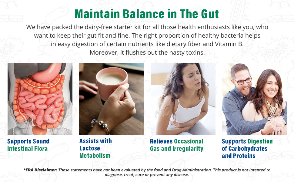 Natren Healthy Start System Dairy Free Probiotic Supplement System for Improved Digestion, 30 Capsules (Pack of 3)