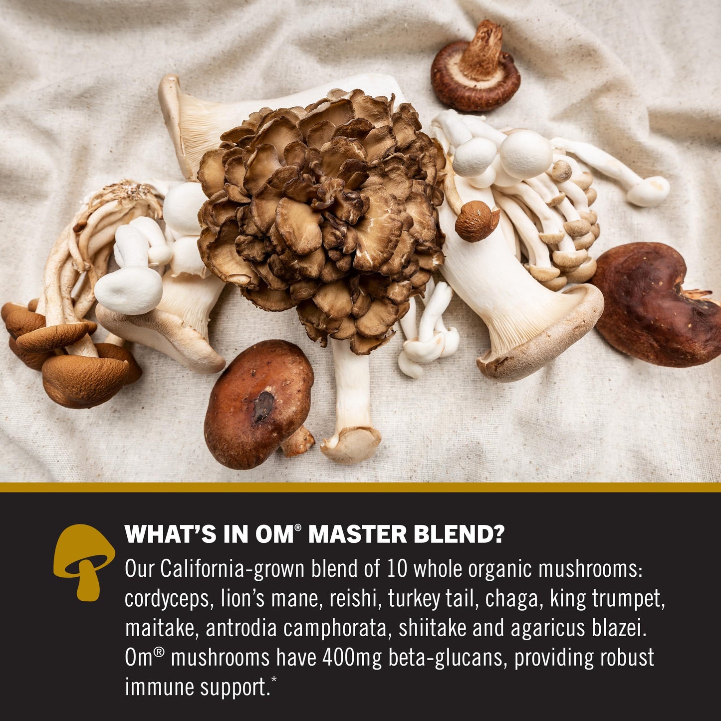 OM Master blend mushroom gummies